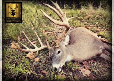 2025 09 28 19 29 45 599