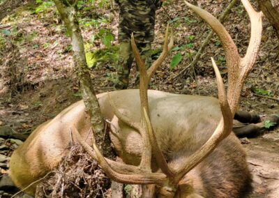 Messenger creation 6A0CE0D8 2D3B 41A1 8C0D 3756FA17EE72